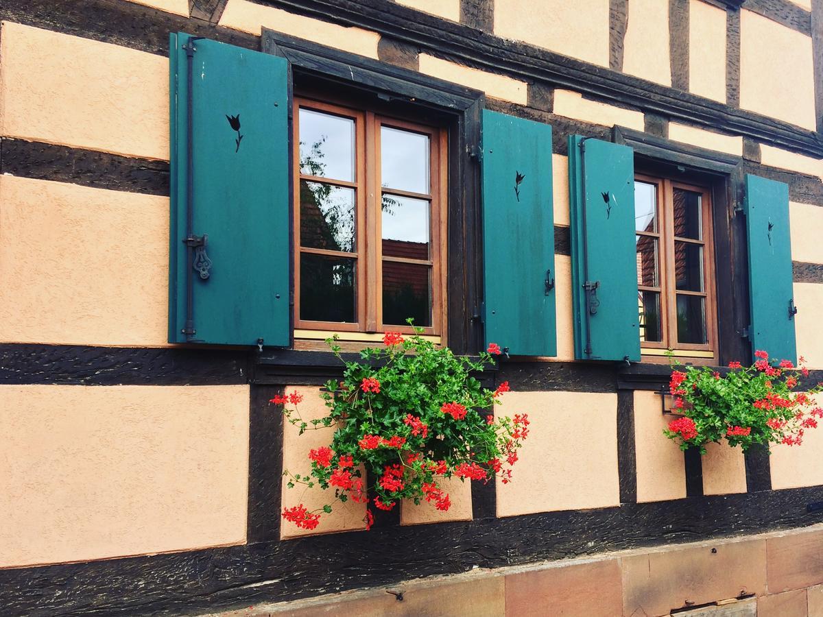 Chambres D'Hotes S'Burehiesel Schillersdorf Luaran gambar